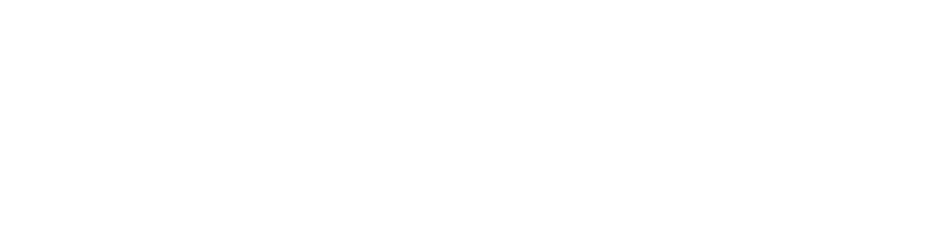 Partnervest Logo